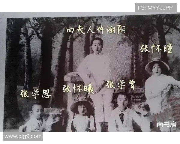 倪永康的政治生涯与影响力分析及其在当代中国的历史地位探讨