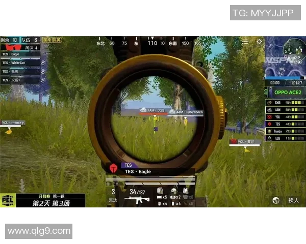 和平精英战术分析：FPX团队配合与战略执行的深度探讨MBA