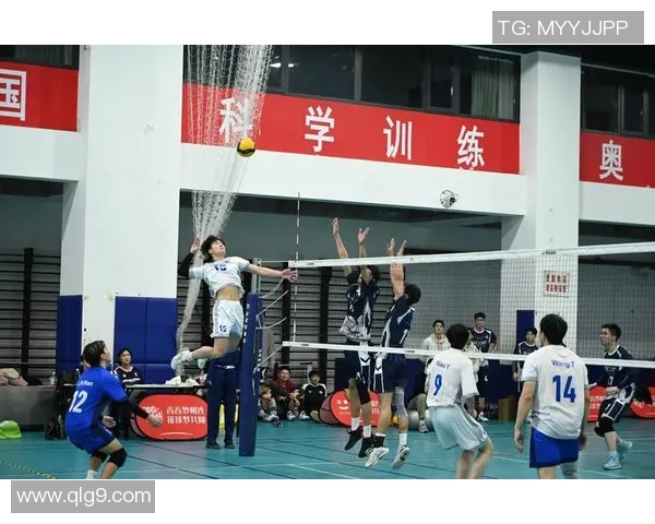 广州排球队速度之美：探索排球运动的激情与技巧