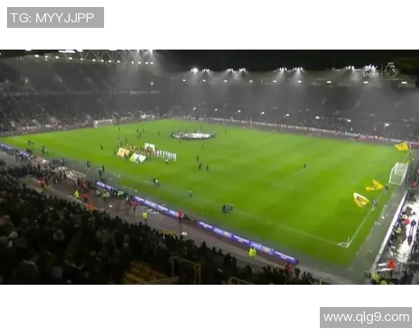 热刺主场迎战狼队激战正酣精彩瞬间回顾与赛后分析