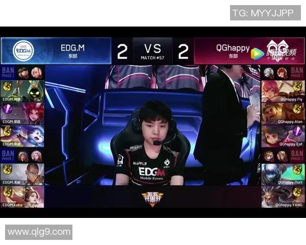 深入探讨EDG战队在比赛中的耐力表现与数据分析结果